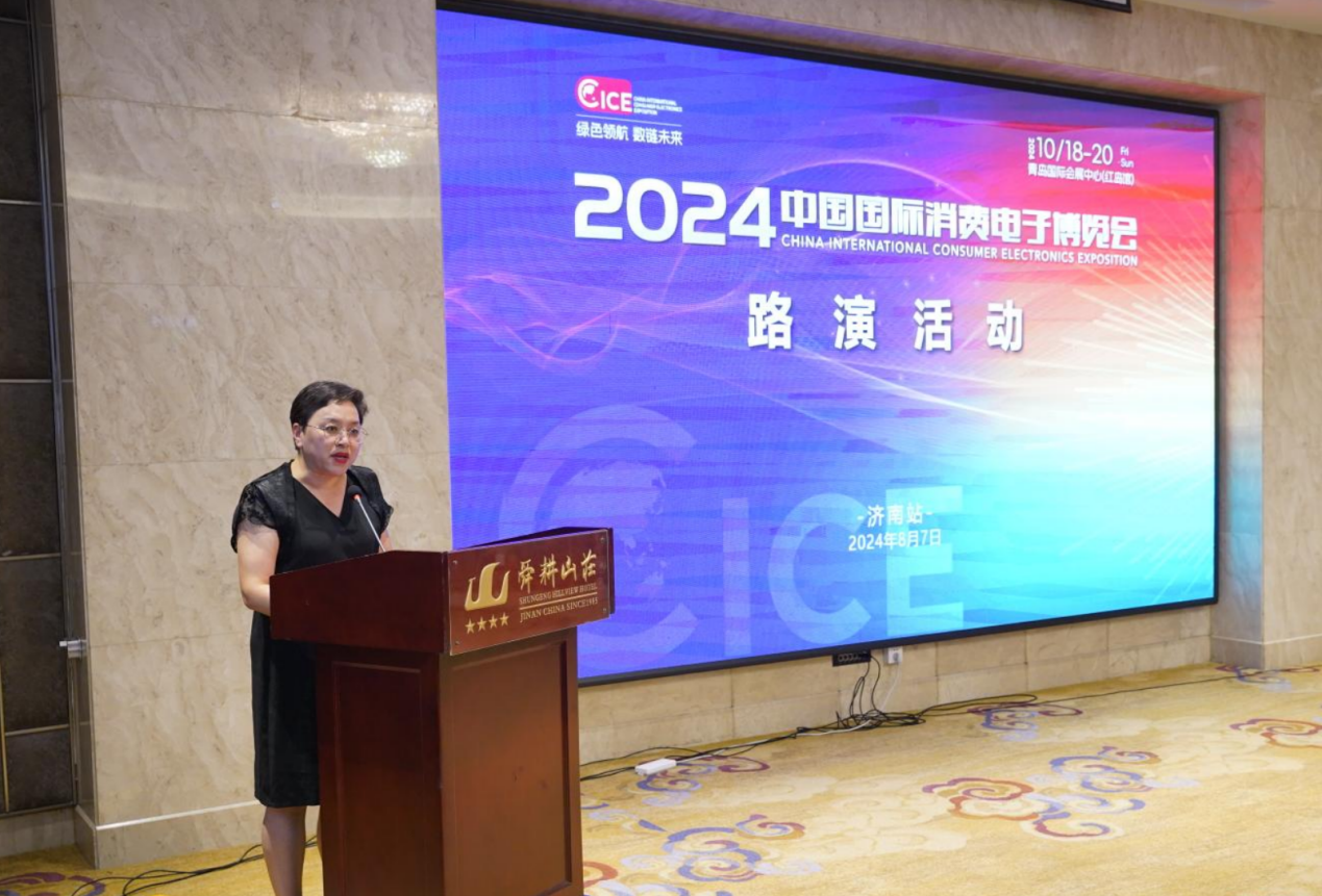 im电竞平台网站2024年中国国际消费电子博览会济南站圆满落幕(图7)