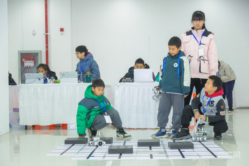 im电竞网站冰雪盛宴燃动江城武汉首届大众冰雪季在黄陂启幕(图5)