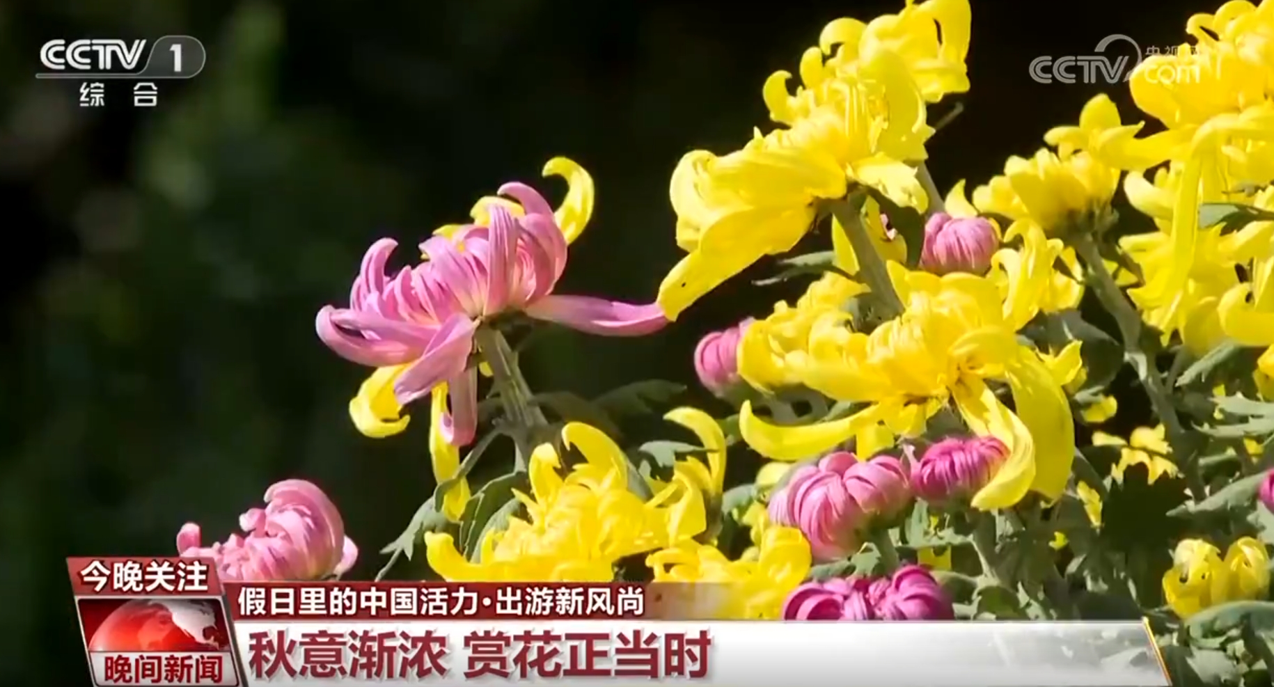 im电竞网站赏美景、尝美味、品文化……各地推陈出“新”撬动文旅消费新场景(图2)