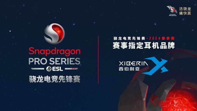 西伯利亚助力英雄争im电竞网站霸骁龙电竞先锋赛2024秋季赛圆满落幕！(图3)