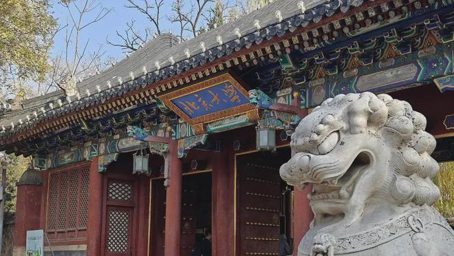 im电竞网站2025春节消费大爆发你贡献了多少？(图3)