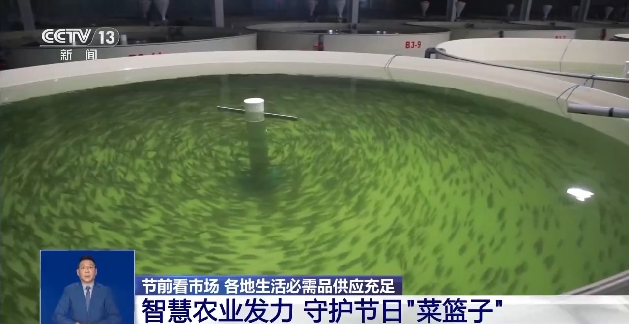 im电竞网址市场迎来消费高峰“米袋子”“菜篮子”满满当当(图7)