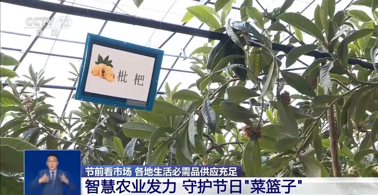im电竞网址市场迎来消费高峰“米袋子”“菜篮子”满满当当(图8)