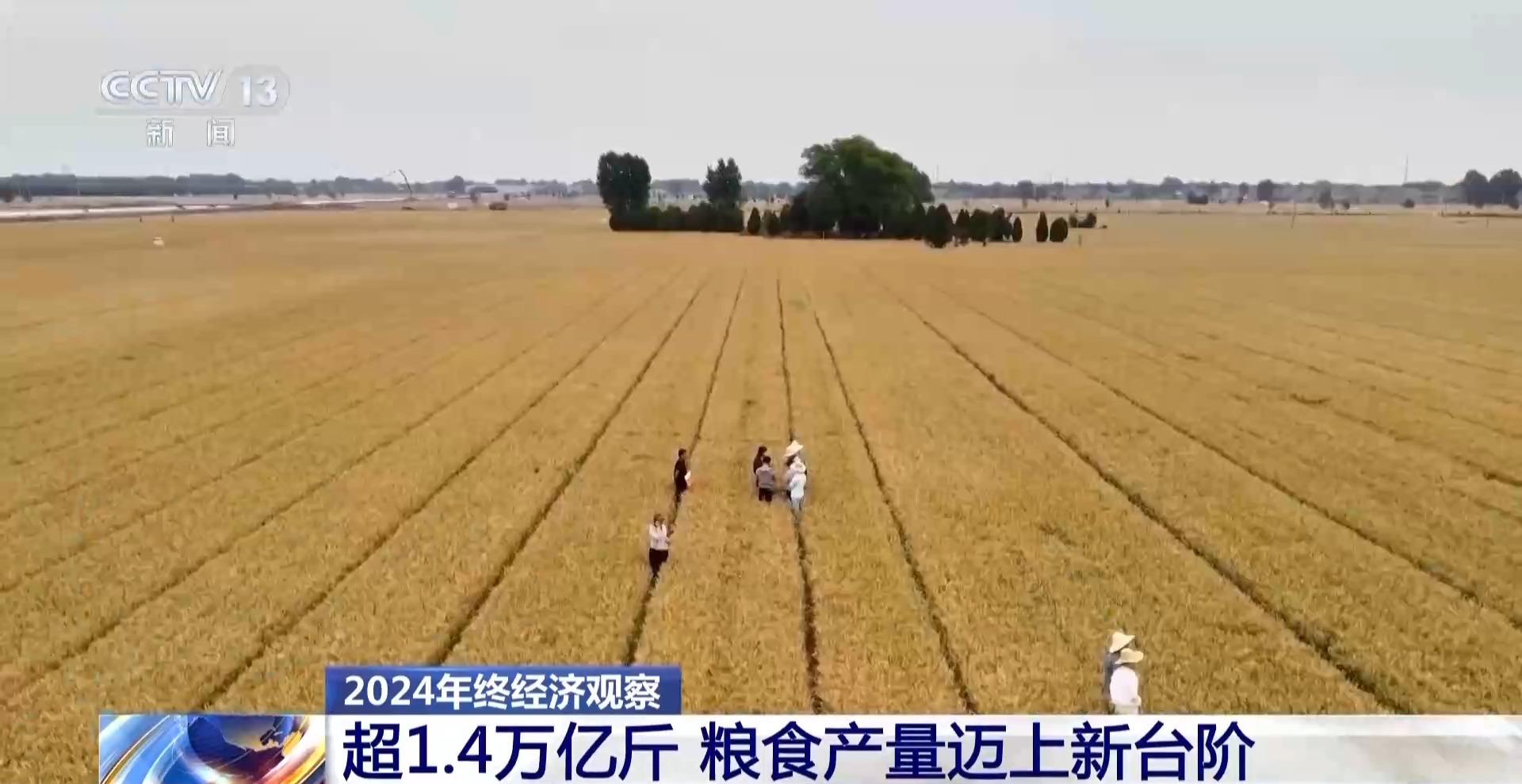 im电竞网址2024年终观察丨今年我国粮食产量首次突破14万亿斤(图1)