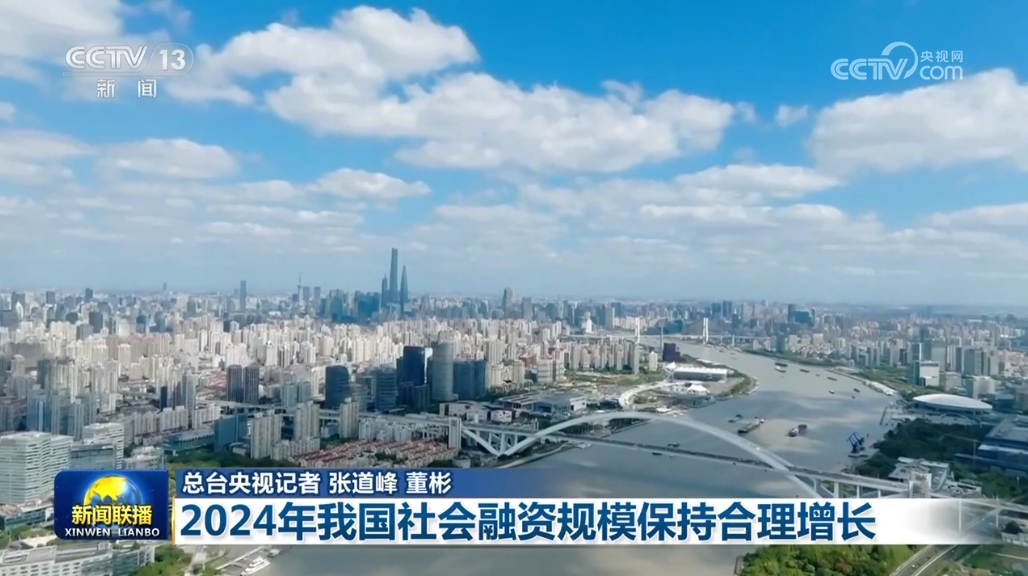 im电竞平台网站【开创高质量发展新局面】2024年我国社会融资规模保持合理增长(图2)