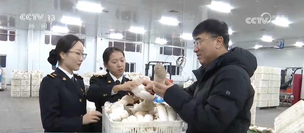 4385万亿元创新高im电竞！2024年我国外贸实现“三量”齐升(图6)