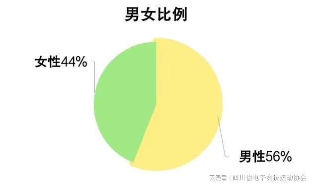 im电竞2024四川省电子竞技产业报告(图7)