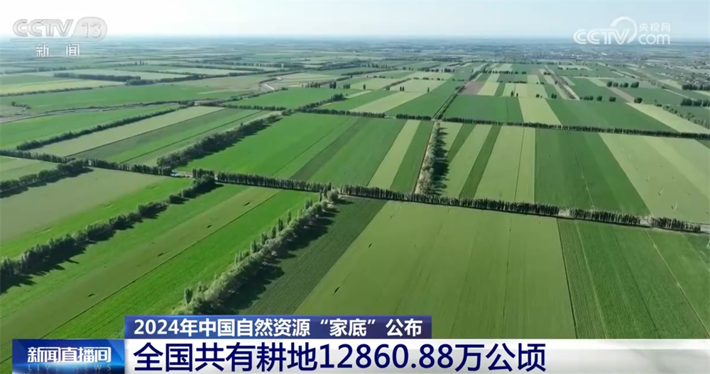 基im电竞础稳、韧性强、潜力大多维数据梳理2024年中国自然资源“家底”(图1)
