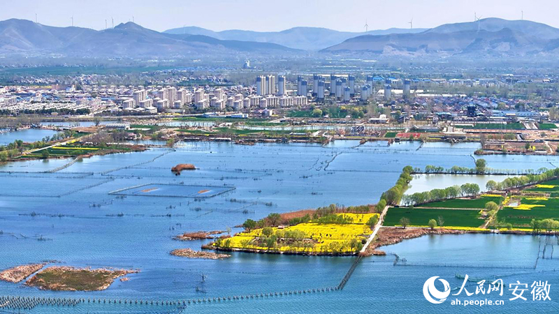 im电竞网站安徽向前｜“煤城”突围记(图6)
