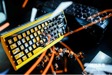 im电竞网站从“物理外挂”到认证ZYNOO和磁轴30开启新一轮电竞军备竞赛(图2)