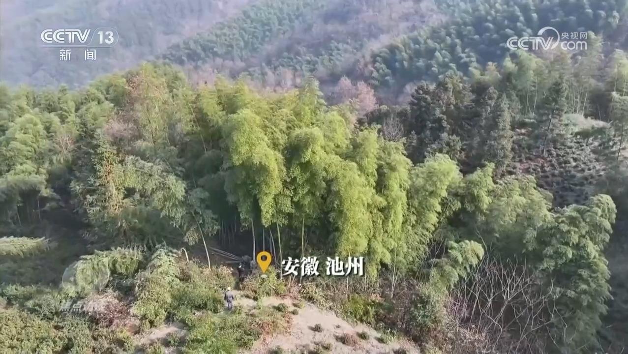 焦点访谈｜绿色消费催生新消费im电竞网站、重塑新生活(图3)